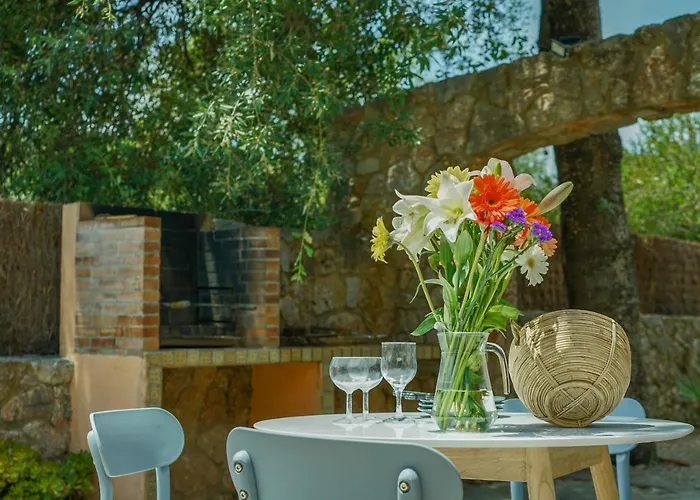 Pollenca - 3517-15 Mallorca