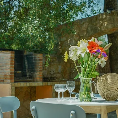 Pollenca - 3517-15 Mallorca